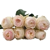 R Gr Antonia