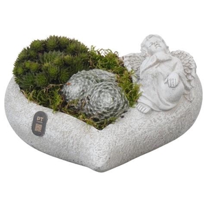 PTAH3018 Arrangementen Allerheiligen