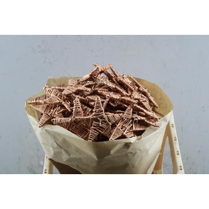 Droog Lata Star Koper X25