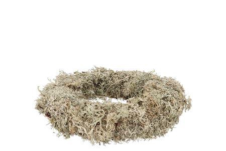 <h4>Nature Wreath Dry White Moss 30cm</h4>