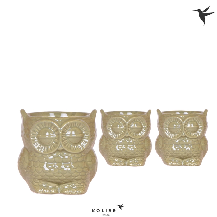 <h4>Kolibri Home Owl pot green</h4>