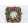 Wr Thym Naturel 20cm