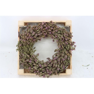 Wr Thym Naturel 20cm
