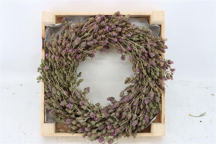 Wr Thym Naturel 20cm