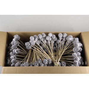 Stick Pine Cone Snow