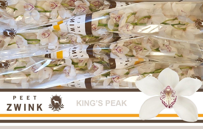 <h4>CYMB T KINGS PEAK</h4>