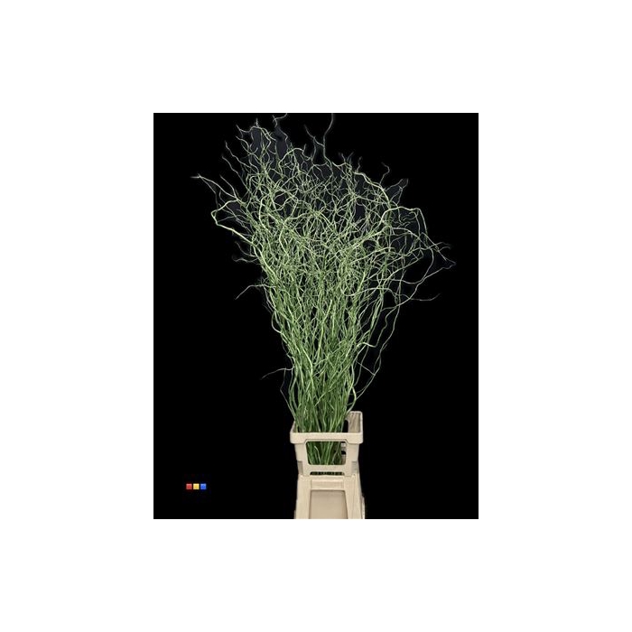 <h4>Salix 130cm Metallic Green</h4>