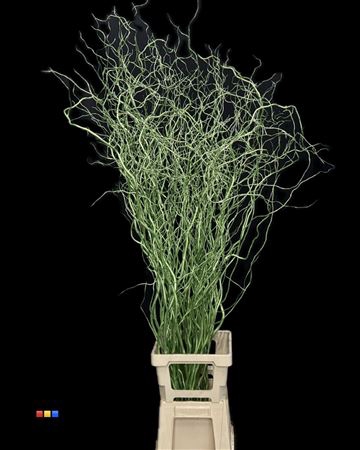 Salix 130cm Metallic Green