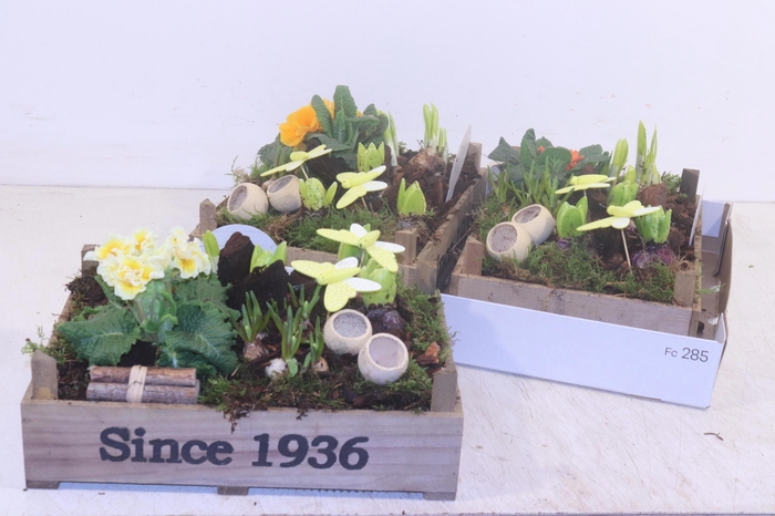 <h4>ARR PL IN SCHAAL</h4>