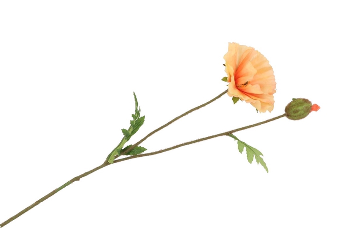 <h4>Silk Papaver Tak Zalm 64cm</h4>