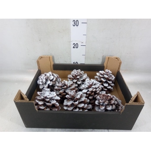 Decoratieve materialen   ...H%