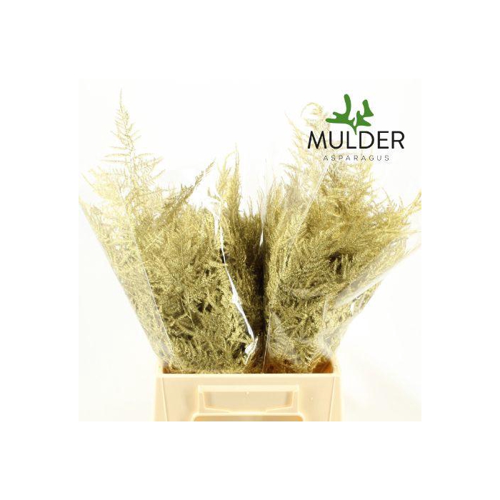 <h4>ASP OV KLB H%</h4>