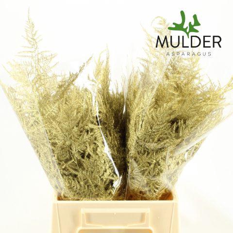 <h4>Asp KLB H% 1e Veren Gold</h4>