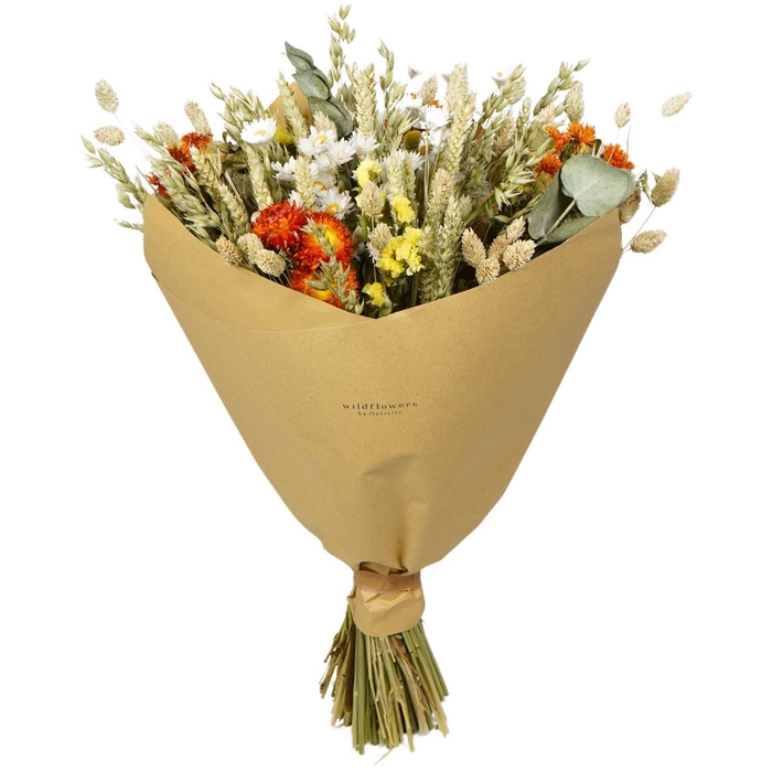 <h4>Droogbloem Boeket Classic 60cm</h4>