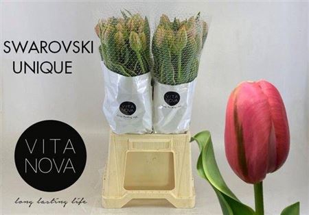 <h4>Tu F Du Swarovski</h4>
