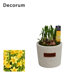 Narcis Love Living HL15133N