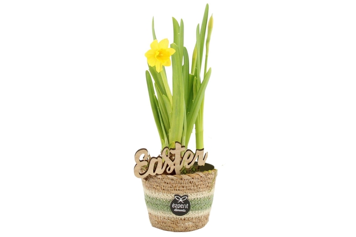 <h4>70709: Easter arrangement</h4>