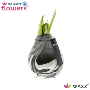 No Water Flowers Waxz® Artooz Earth Black (Decorum)