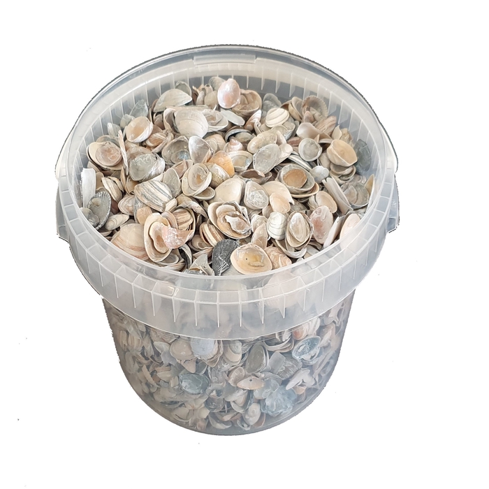 Shells north sea 1 ltr Frosted Blue