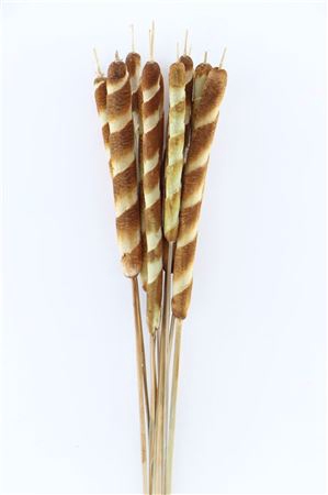 <h4>Dried Typha Natural 10pc Bunch</h4>