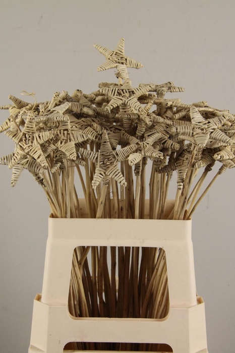 <h4>EF Stick Lata Star Natural</h4>