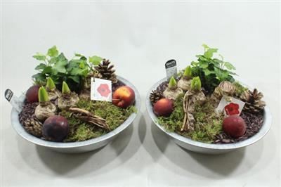 <h4>1098 Zink Bol-MIX</h4>