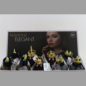 Wax Hipp Elegant Mix