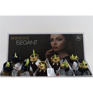 Wax Hipp Elegant Mix