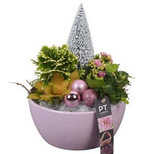 PTCHP3511 Arrangementen Kerst