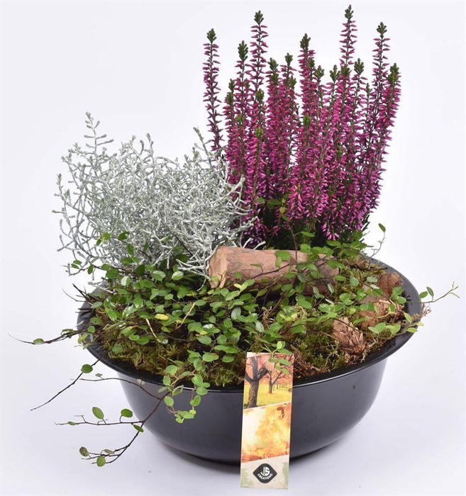 <h4>Zink schaal 23cm mat zwart</h4>