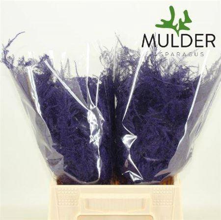 <h4>Asp Ov Klb H%</h4>