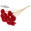Shola Karnish Flower 6cm on stem Wax Red