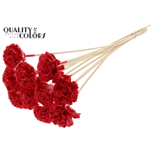Shola Karnish Flower 6cm on stem Wax Red