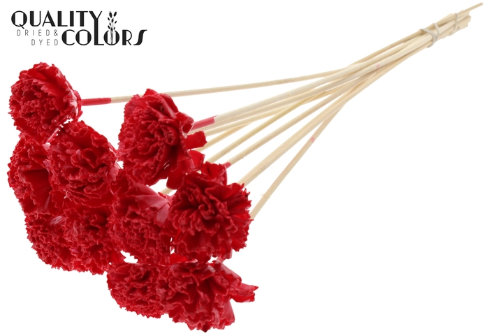 Shola Karnish Flower 6cm on stem Wax Red