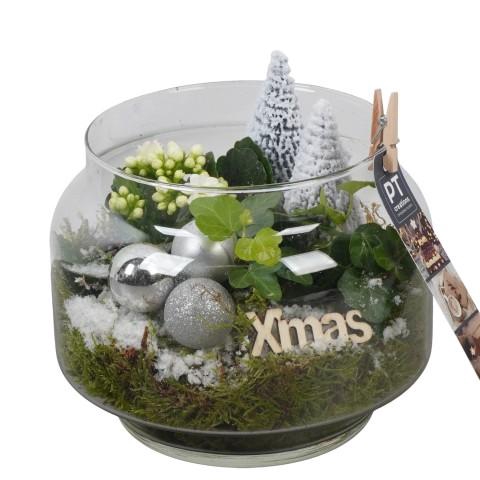 <h4>PTCHW4386 Arrangementen Kerst</h4>