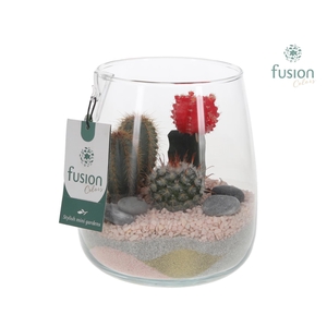 Glazen vaas Alzada met Cactus arrangement