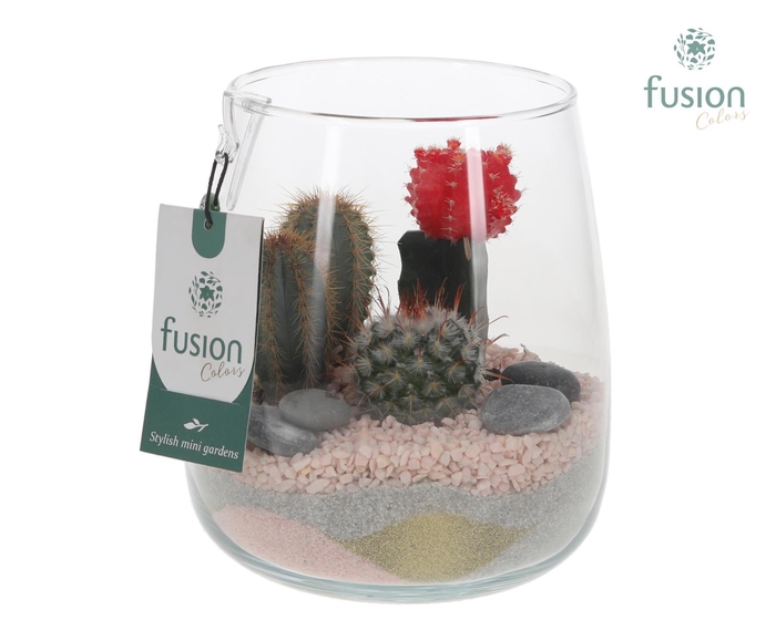 <h4>Glazen vaas Alzada met Cactus arrangement</h4>