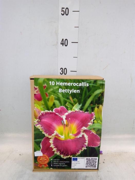 <h4>Flowerbulbs, corns or tubers   ...</h4>