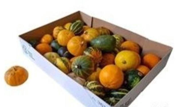 <h4>Sierfruit Bak</h4>