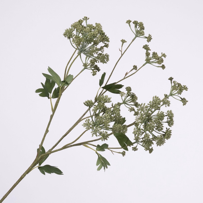 <h4>Angelica Spray Green LV330136GRN</h4>