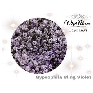 Gyps Pa Vip Bling Violet