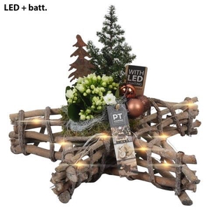 Opm Pt PTCHB9821 X-mas Bronze Hout Ster