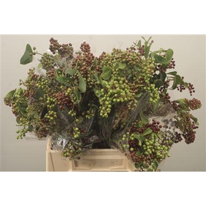 Smilax Per Bunch 200 Gram