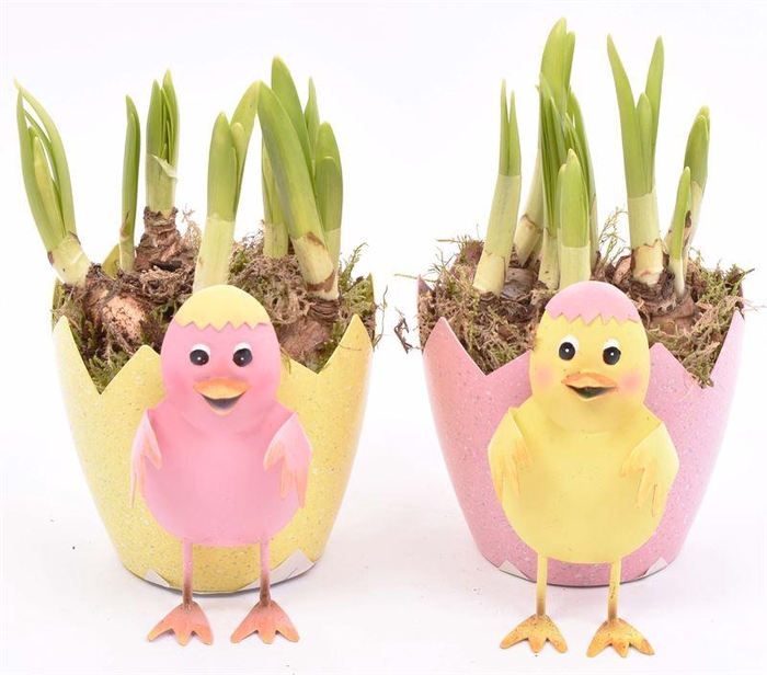 <h4>Zink ei met kip 10-12cm</h4>