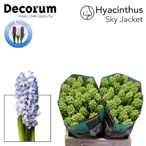 Hyac Sky Jacket 2x25