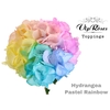 HYDR M PASTEL RAINBOW 75 CM