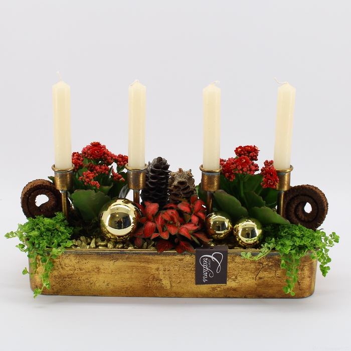 <h4>ADV-2403R Advent creatie</h4>