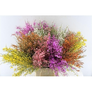 Ginster Mix 200 Gram