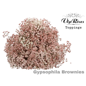 GYPS PA BROWNIES