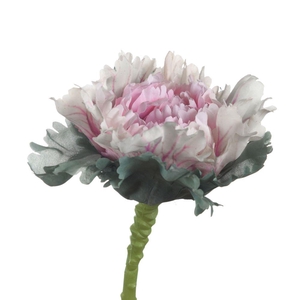 AF Brassica L35cm Pink